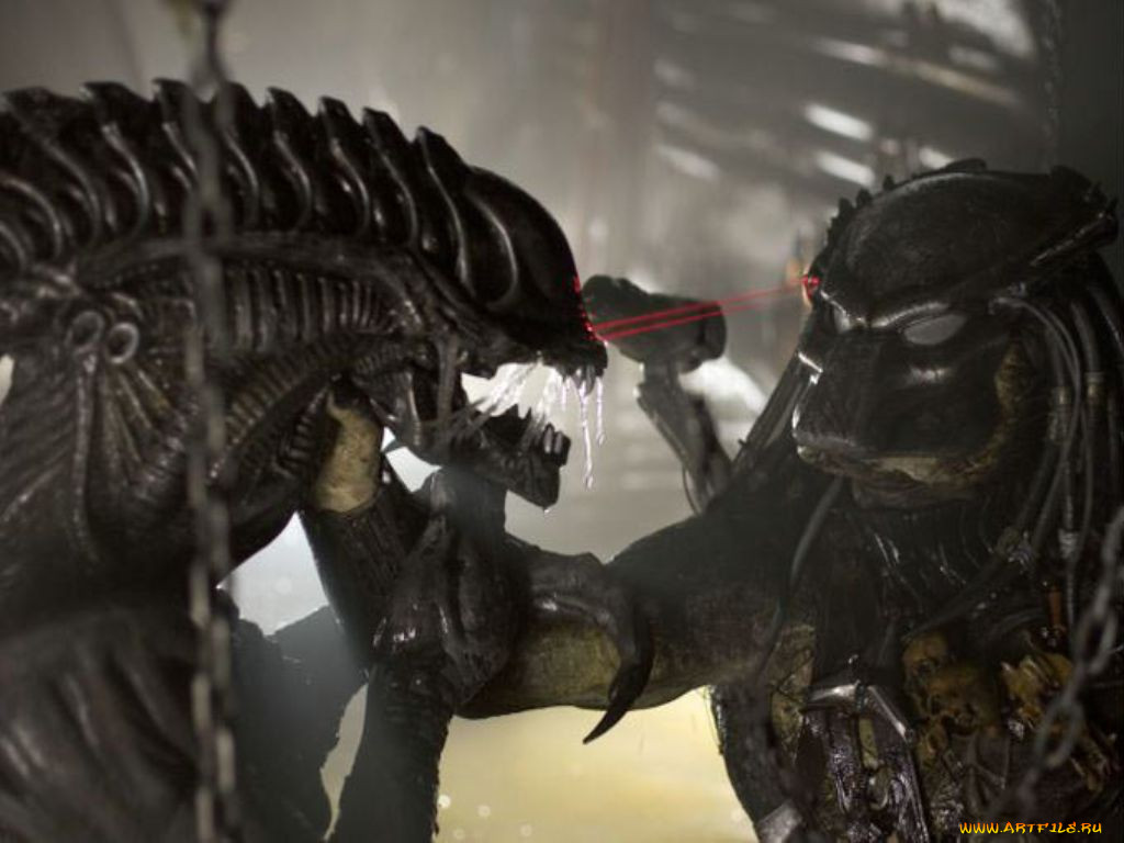, , alien, vs, predator